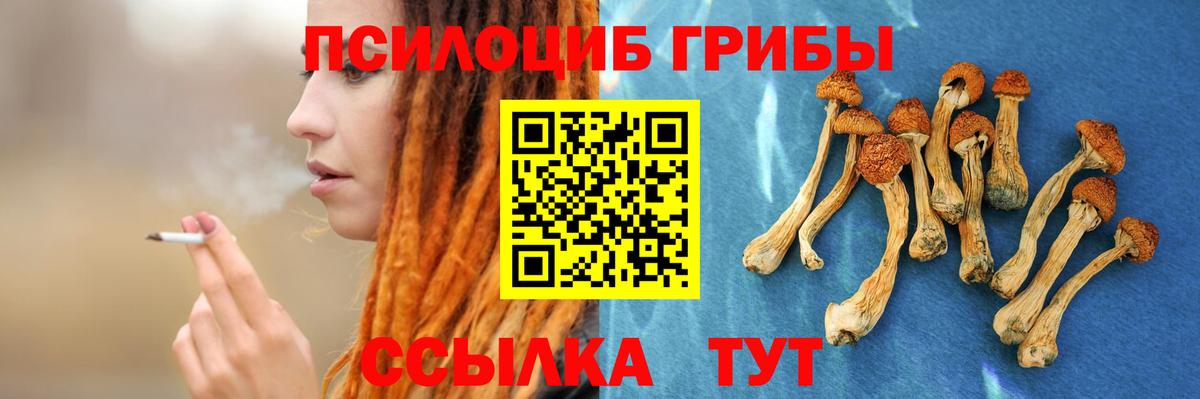 Галлюциногенные грибы Cubensis  Вход с VPN  Котельники 
